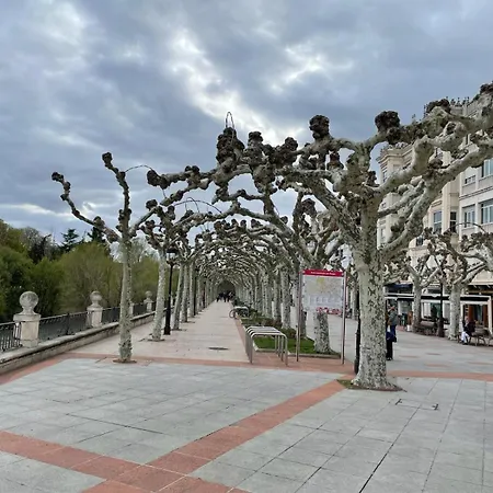 El Farolillo De La Catedral Vivienda De Uso Turistico Vut 9/251 Burgo